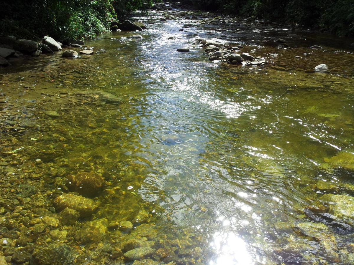 Pousada Rancho Texas Ubatuba Dış mekan fotoğraf